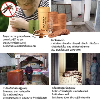 【ซื้อ2 แถม1】ธูปไล่ยุงสมุนไพร ธูปกันยุง 120 ม้วน ธูปกันยุงสมุนไพร ดับกลิ่น ปลอดภัยต่อคนและสัตว์เลี้ยง ช่วยหลับ