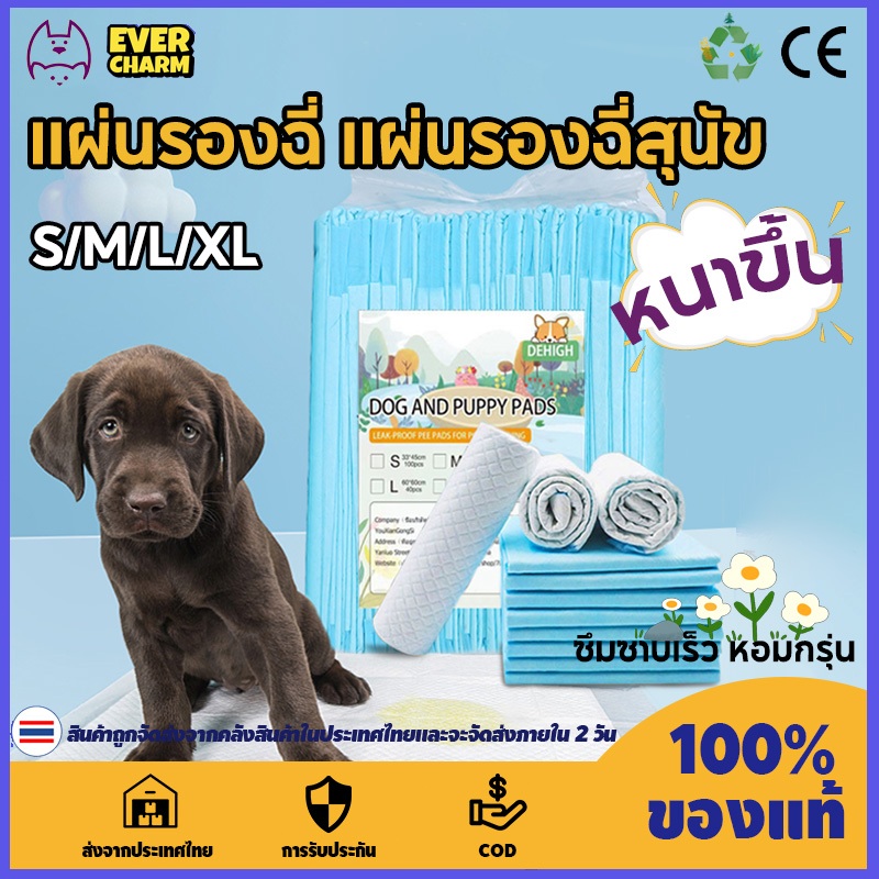 แผ่นรองฉี่ แผ่นรองฉี่แมว แผ่นรองฉี่สุนัข ช่วยฝึกขับถ่าย ระงับกลิ่น ซึมซับไดีดี ยิ่งขึ้น ต่อต้านแบคทีเรีย ผ้ารองฉี่สุนัข