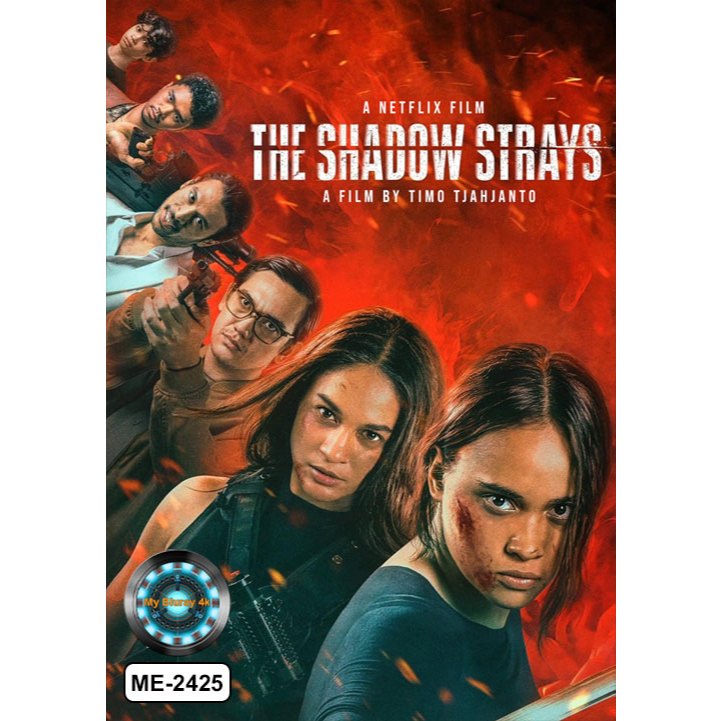 DVD เสียงไทยมาสเตอร์ หนังใหม่ หนังดีวีดี The Shadow Strays นักฆ่าเงาล่าทรชน