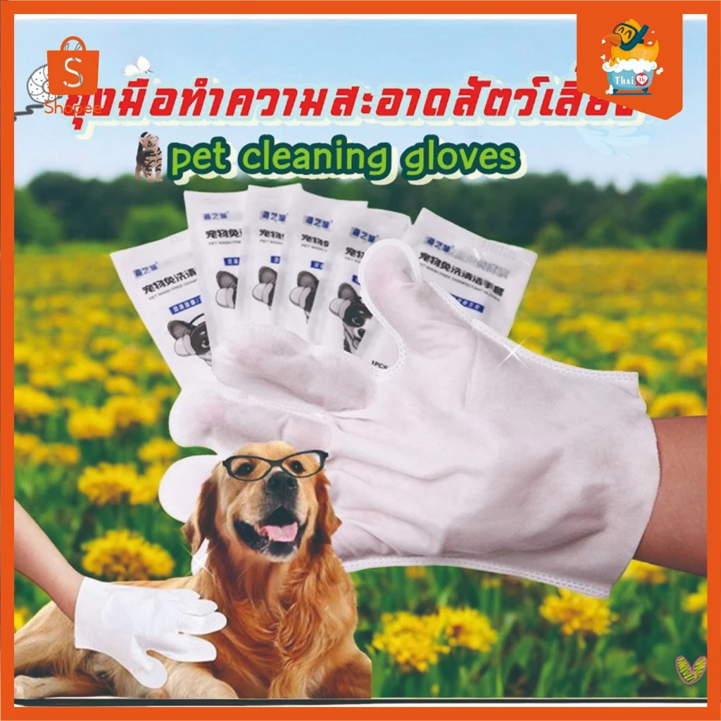 Thai.th ถุงมือแบบไม่ต้องซัก ทำความสะอาดสัตว์ แบบใช้แล้วทิ้ง อาบน้ำ Clean Glove