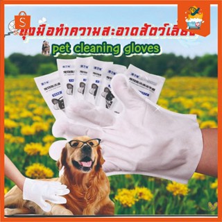Thai.th ถุงมือแบบไม่ต้องซัก ทำความสะอาดสัตว์ แบบใช้แล้วทิ้ง …