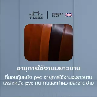 Thames ที่นอนพับปิคนิค รุ่น ASTER หนา 4 นิ้ว หุ้มหนัง PVC กันน้ำ กันฝุ่น พับเก็บง่ายเคลื่อนย้ายสะดวก