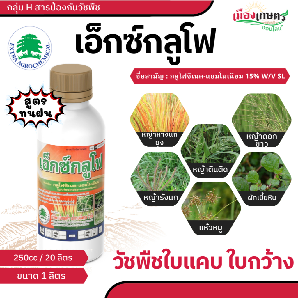 เอ็กซ์กลูโฟ ( น้ำฟ้า ) ยาฆ่าหญ้า ( กลูโฟซิเนต แอมโมเนียม ) ขนาด 1 ลิตร สูตร ทนฝน กำจัด วัชพืช ใบแคบ และ ใบกว้าง  ฆ่าหญ้า