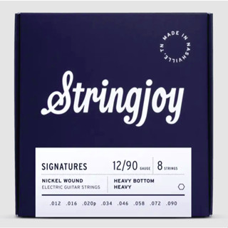 Stringjoy Signatures สายกีตาร์ไฟฟ้า 8 สาย เบอร์ 12 - 90 (8 s…