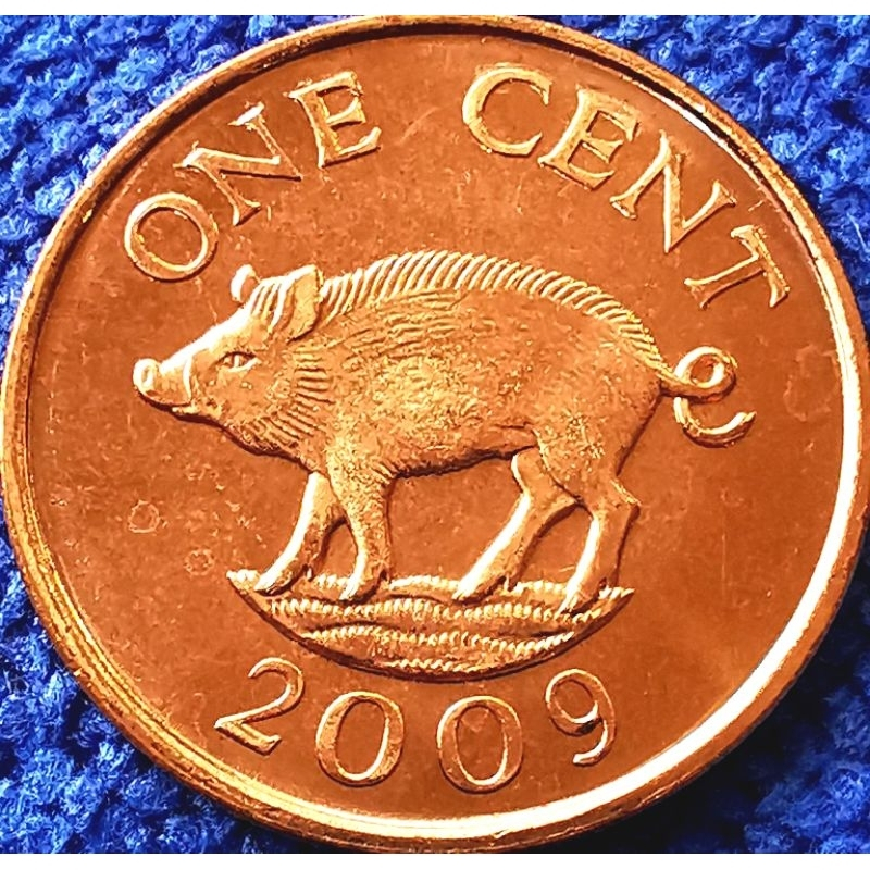 เหรียญ​ เบอร์มิวดา​ Bermuda(ภายใต้​UK)​, 1 Cent, ไม่​ผ่าน​ใช้​ UNC​, #​4395