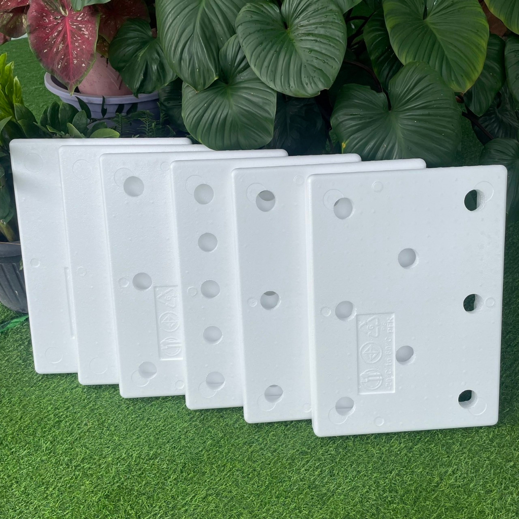 ฝากล่องโฟม(เฉพาะฝา) ขนาดพอดีกับกล่องกุ้ง พร้อมเจาะรู โฟมเม็ดละเอียดทนทาน คุณภาพดี – เกษตรกรรมยั่งยืน