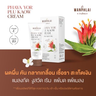 ของแท้ ส่งไว ครีมพญายอ พลูคาว แก้คัน น้ำเหลืองเสีย เริม งูสว…