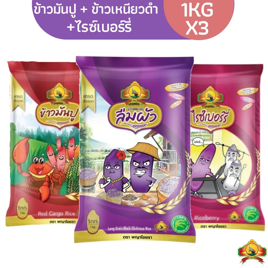 ซื้อในไลฟ์สดลด 100.- [แพ็ก3ถุง]ข้าวมันปู +ข้าวไรซ์เบอรี่+ ข้าวเหนียวลืมผัว ขนาด1KG ตราพญาไอยรา