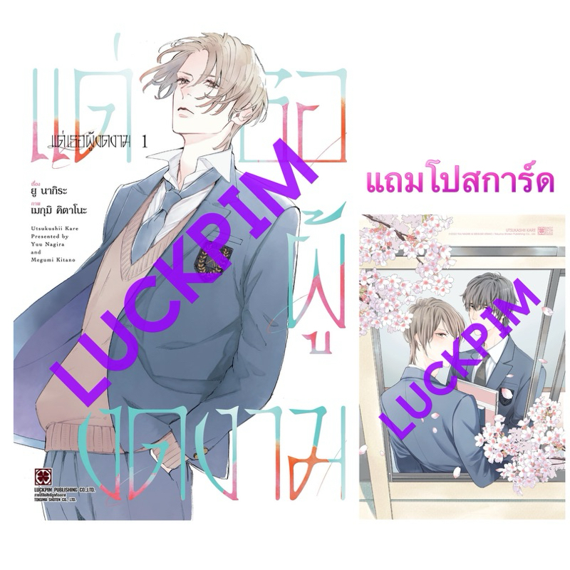 (เล่ม 4 พร้อมส่ง) แด่เธอผู้งดงาม เล่ม 1-3 โปสการ์ด [แยกเล่ม][หนังสือการ์ตูน]ใหม่ มือหนึ่ง - รูปที่ 2