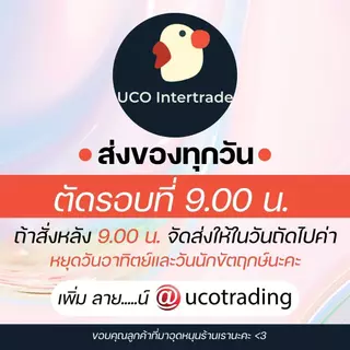 *15สี* แฟ้มโชว์เอกสาร แฟ้ม สอดปกได้ A4 20ซอง สันหนา 1.5ซม ปกPP ซองหนา กันรอยกันน้ำ สะสมงานไปโรงเรียน
