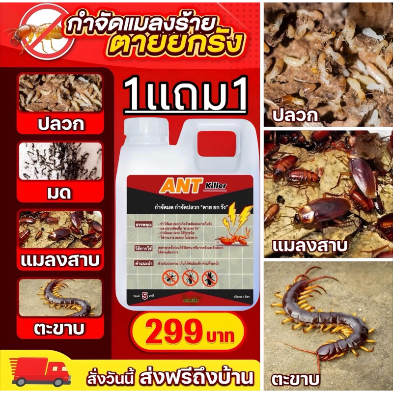 กำจัด ปลวก มด ตายยกรัง 1ลิตรฟรี1ลิตร