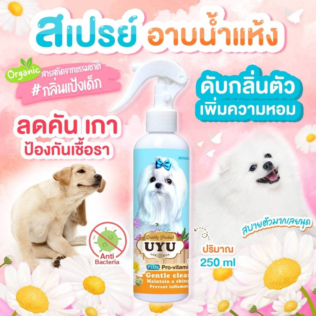 สเปรย์อาบน้ำแห้ง สำหรับสุนัขทุกสายพันธุ์ (กลิ่นแป้งเด็ก) ไม่ต้องใช้น้ำ ดูแลขน ขนฟูนุ่มน่ากอด ลดกลิ่นสาบ กลิ่นหอม 250 ml.