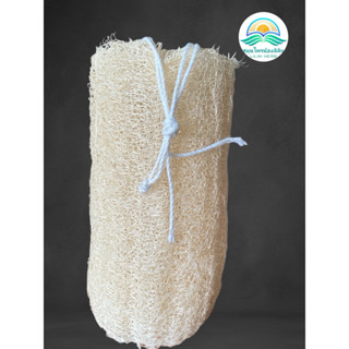 บวบท่อน 4-5 นิ้ว พร้อมเชือกร้อย ใยบวบอาบน้ำ