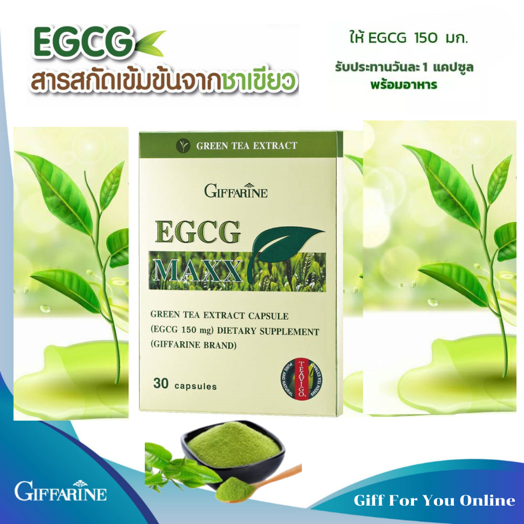 EGCG MAXX GIFFARINE อี จี ซี จี แมกซ์ กิฟฟารีน |  สารสกัดจากชาเขียว EGCG