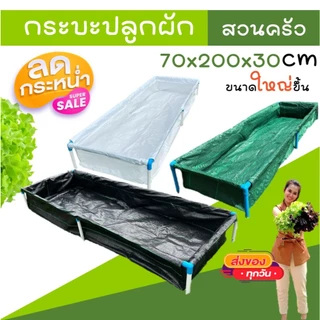 [ขนาดใหญ่ขึ้น]กระบะปลูกผัก กระบะปลูกผักสวนครัว ปลอดสารพิษ มี3สี