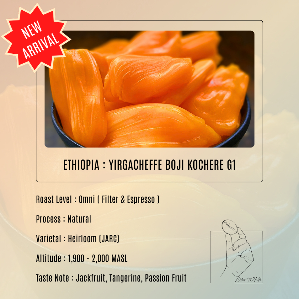 DEV TONE Coffee | ETHIOPIA : YIRGACHEFFE BOJI KOCHERE G1 | เมล็ดกาแฟคั่วอ่อน-กลาง OMNI