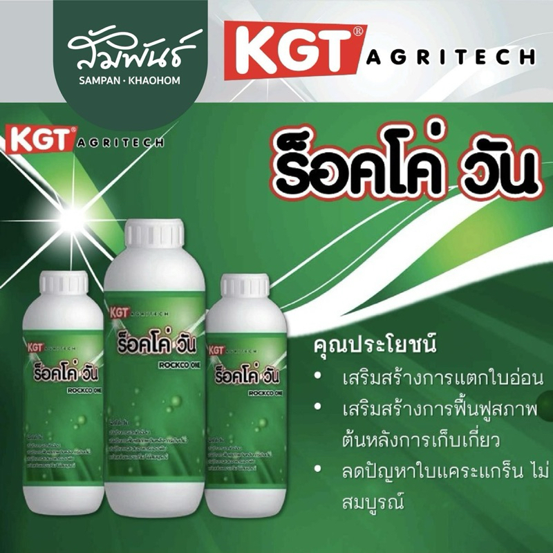 ร็อคโค่วัน KGT เคจีที อาหารเสริมพืช ฮอร์โมนพืช สูตรบำรุงใบ ฟื้นต้น หลังเก็บเกี่ยว ดึงใบอ่อน ใบใหญ่