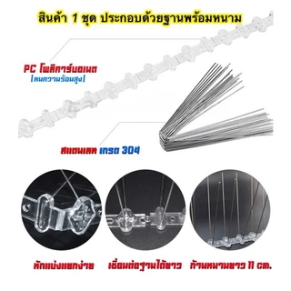 หนามไล่นก💥ที่ไล่นก ไล่นกพิราบ กันนก กันนกพิราบ ที่ กัน นกพิราบ เกาะ หนามกันนก หนามกันนกพิราบ หนามไล่นกพิราบ bird thorn