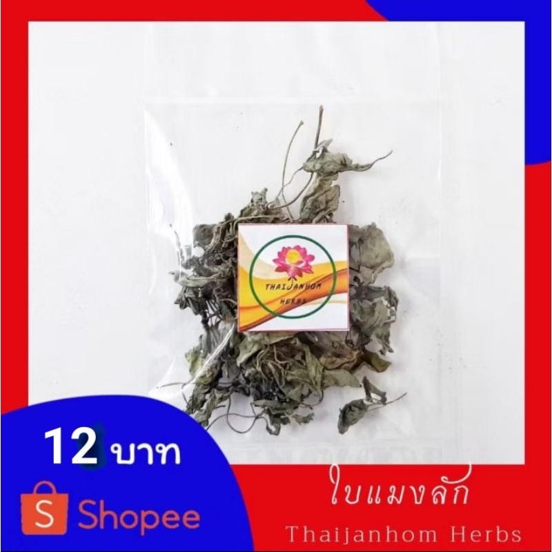 ใบแมงลัก  แมงลัก ( Hairy  Basil ) ขนาด  2 กรัม