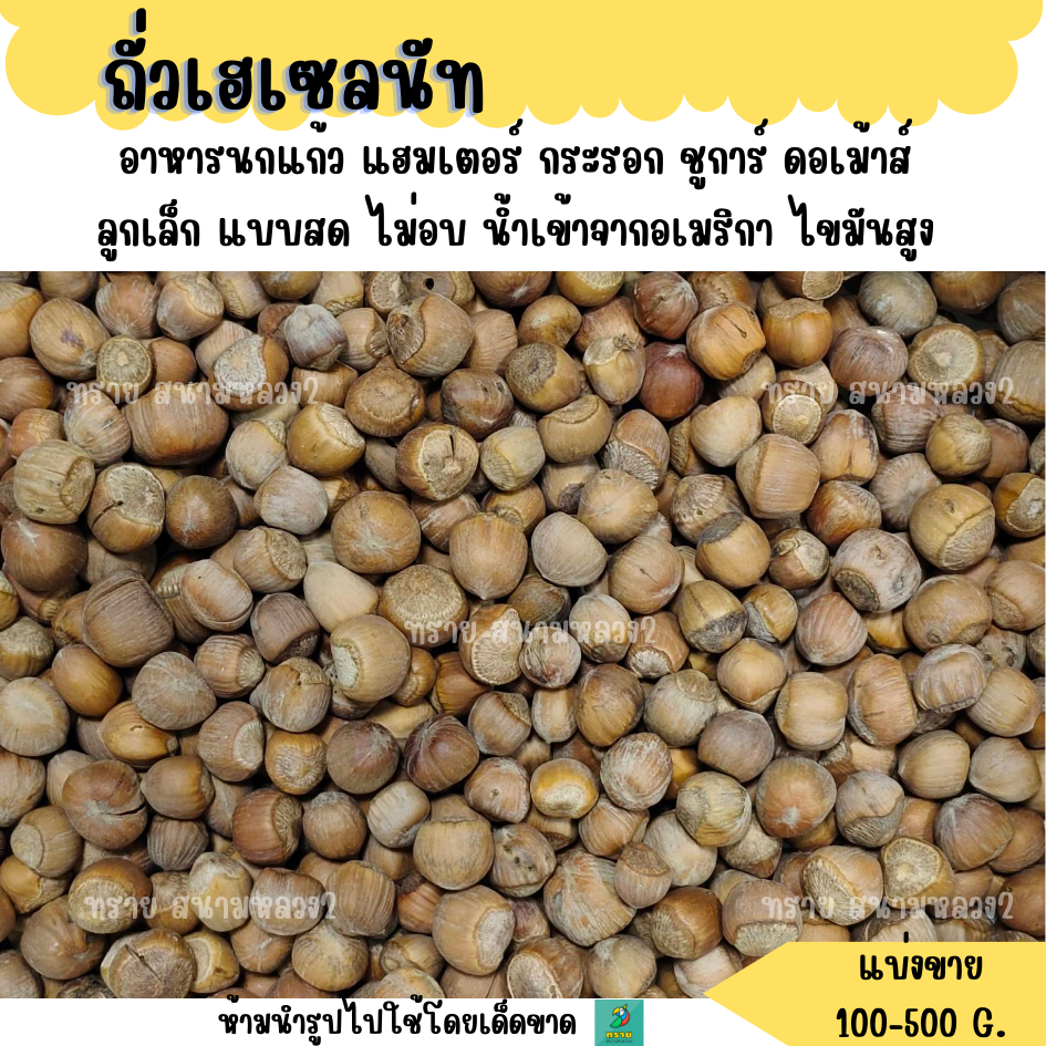 ถั่วเฮเซลนัท (แบ่งขาย 100-300 G.) อาหารนกแก้ว แฮมเตอร์ กระรอก ชูการ์ ดอเม้าส์