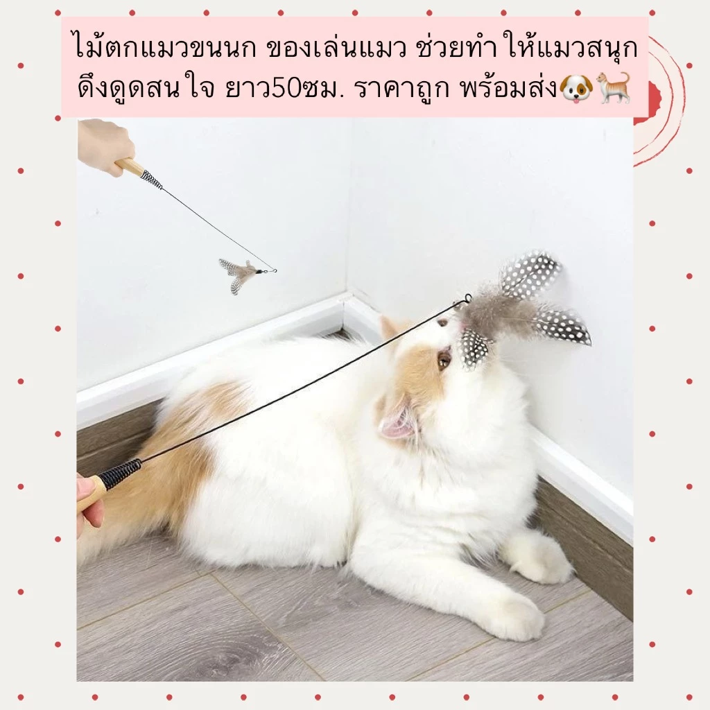 PP-590 ไม้ตกแมวขนนก ของเล่นแมว ยาว 50 ซม. ราคาถูก พร้อมส่ง 🐶🐈