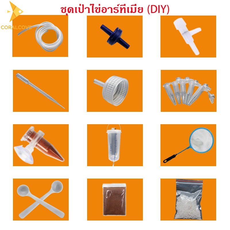 coralcoveshop ชุดเป่าไข่อาร์ทีเมีย ฟักไข่อาร์ทีเมียแบบโฮมเมด DIY นำไปใช้เป็นอาหารลูกปลา