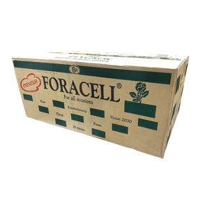 โอเอซิส ฟลอร่าเซล (foracell)โฟมปักดอกไม้ โฟมจัดดอกไม้