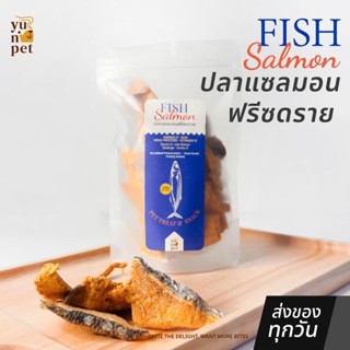 ปลาแซลมอนฟรีซดราย ขนมแมว ขนมหมา โปรตีนสูง บำรุงขนและสุขภาพ ข…