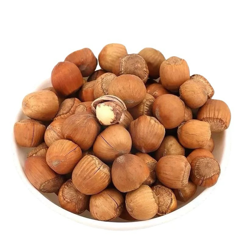hazelnut 100g. เฮเซลนัท อาหารนก ถั่วสำหรับนกแก้ว ขนมนกแก้ว
