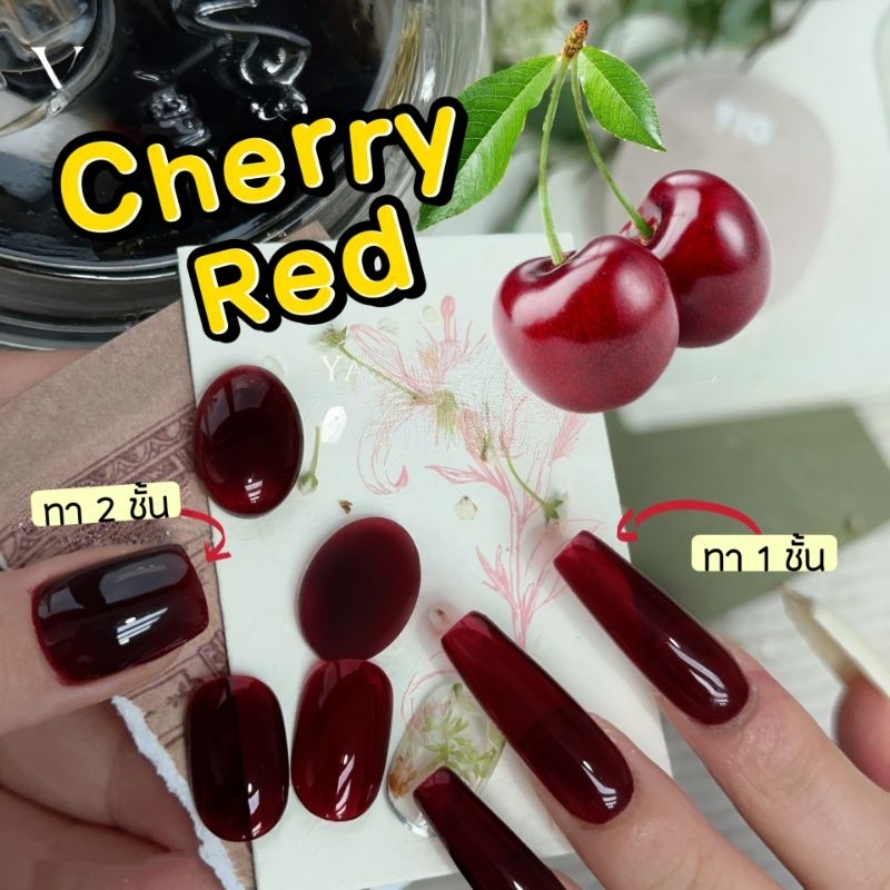 XEIJAYI  สีแดงไวน์ สีแดงเชอร์รี่ Red wine มีให้เลือก 2 สี