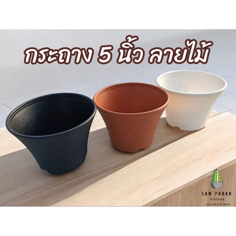 กระถาง 5 นิ้ว ลายไม้ กระถางแคคตัส