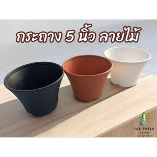 กระถาง 5 นิ้ว ลายไม้ กระถางแคคตัส