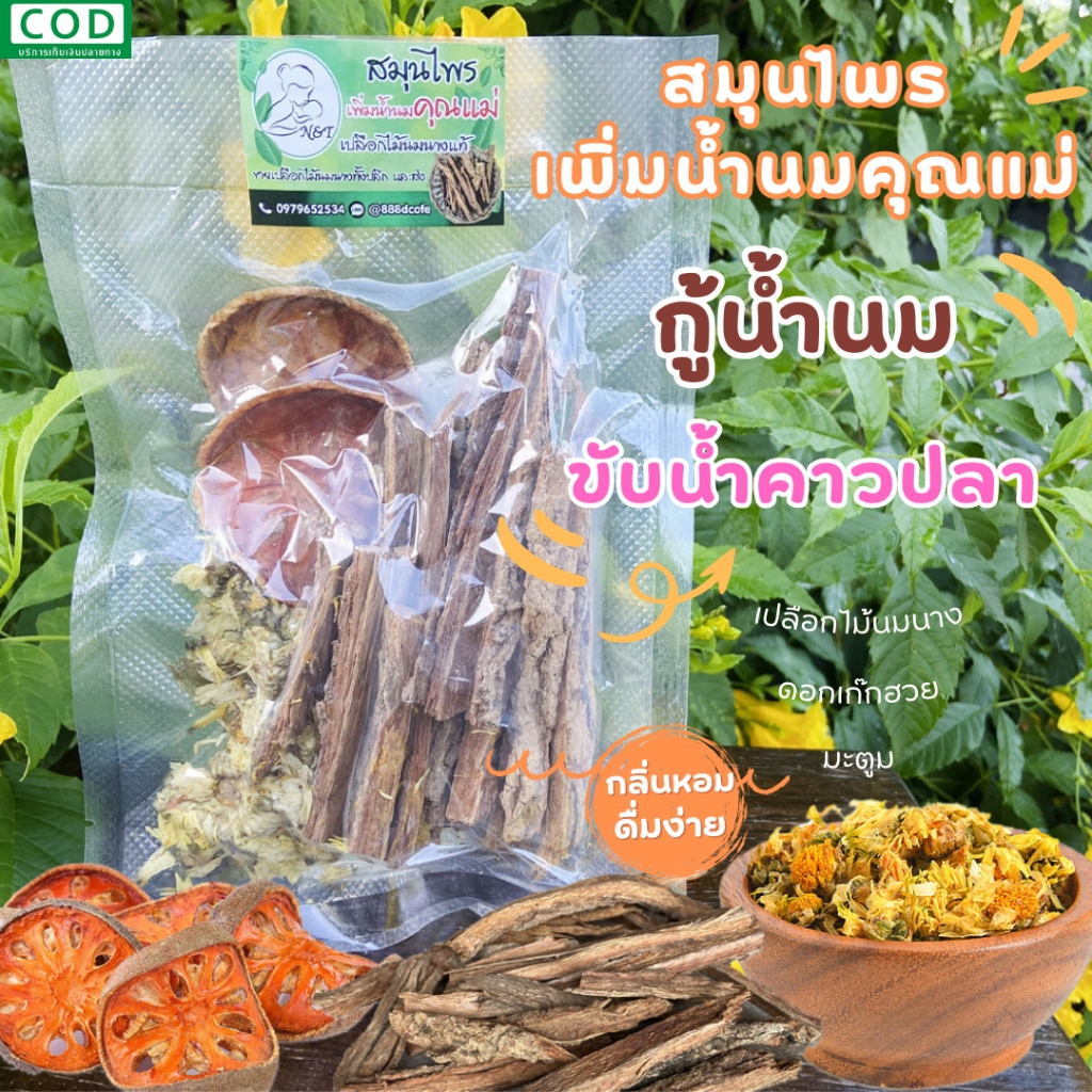 🍃รวม 3 สมุนไพรเพิ่มน้ำนมคุณแม่ กู้น้ำนม ขับน้ำคาวปลา เปลือกไม้นมนาง ดอกเก๊กฮวย มะตูม