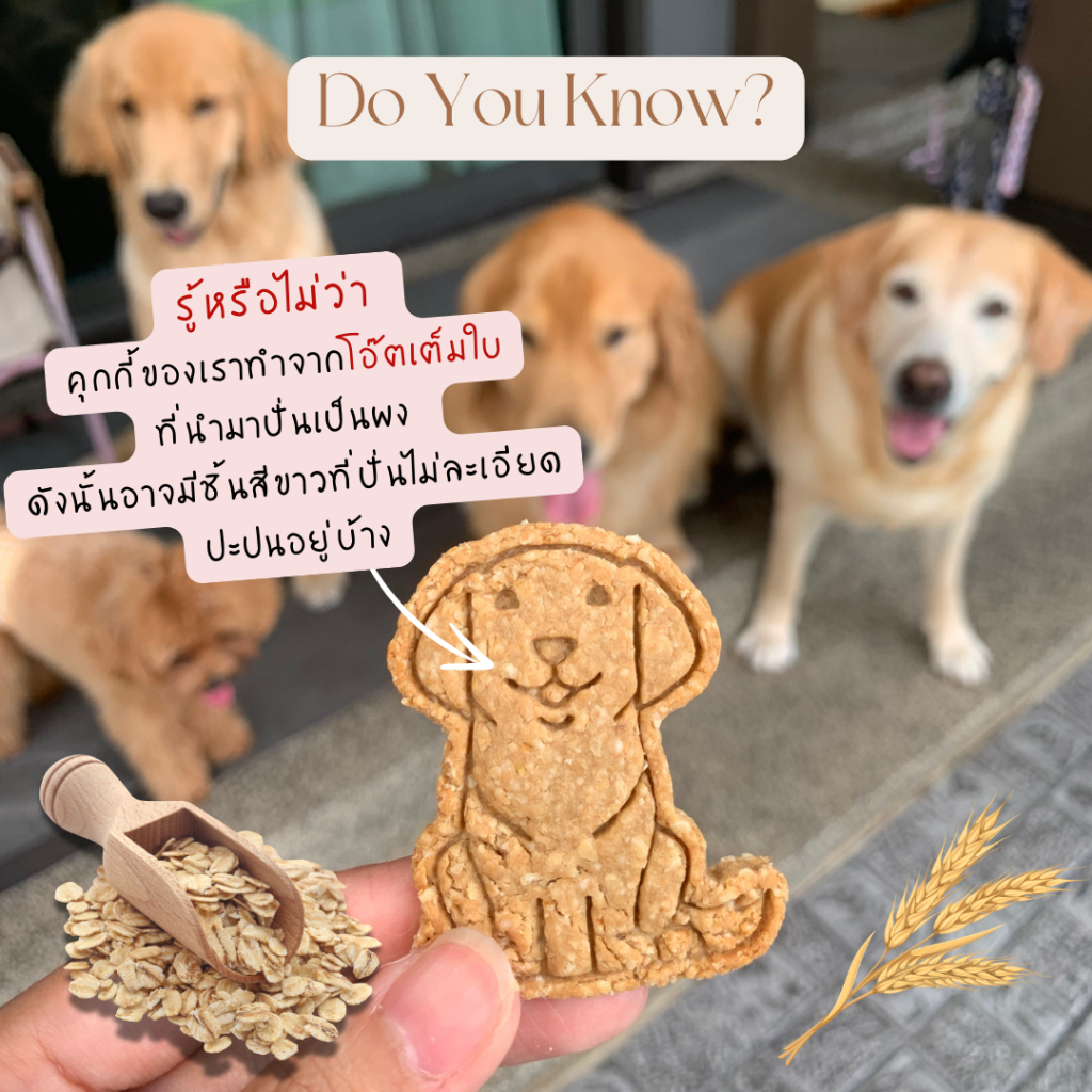 คุกกี้หมา รสผักรวม(สูตร มังสวิรัติ) ไม่มีเนื้อสัตว์ แพ้เนื้อสัตว์กินได้ ขนมหมา ขนมแมว ขนมสัตว์เลี้ยง - รูปที่ 2