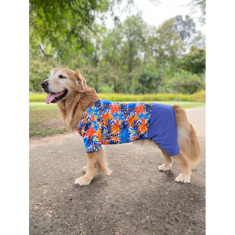 พร้อมส่ง! เสื้อสุนัข เสื้อหมาขนาดใหญ่ เที่ยวทะเล กางเกงขาสั้น