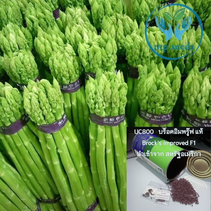 เมล็ดหน่อไม้ฝรั่ง Asparagus  F1  UC800 ***Emerald Seed Co.ltd USA***