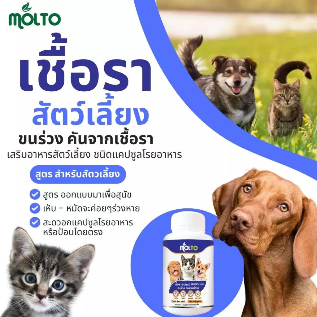 MOLTO เสริมอาหารสัตว์เลี้ยง เชื้อราแมว/สุนัข ขนร่วง คัน ป้องกันโรคผิวหนัง