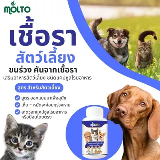 MOLTO เสริมอาหารสัตว์เลี้ยง เชื้อราแมว/สุนัข ขนร่วง คัน ป้องกันโรคผิวหนัง