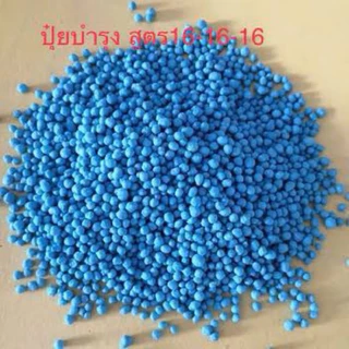 16-16-16กระต่ายบลู (เม็ดสีฟ้า) ปุ๋ยแตงโม และพืชผัก ผลไม้