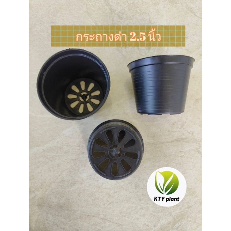 กระถางดำ กระถางต้นไม้ กระถางพลาสติก ขนาด2.5