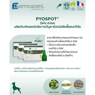 Dermoscent Pyo Spot-On🔥 ผลิตภัณฑ์หยดหลังจัดการปัญหาผิวหนังติดเชื้อแบคทีเรีย สำหรับสุนัข
