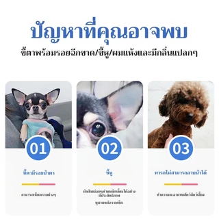 ทิชชู่เปียกสัตว์เลี้ยง สำหรับเช็ดสัตว์เลี้ยง แผ่นเช็ดแมว ทิชชู่หมา ทิชชู่เปียก 80 แผ่น