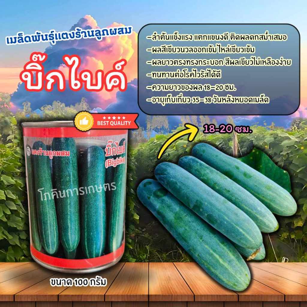 เมล็ดพันธุ์แตงร้านบิ๊กไบค์ (Tiger seeds) ขนาด 100 กรัม