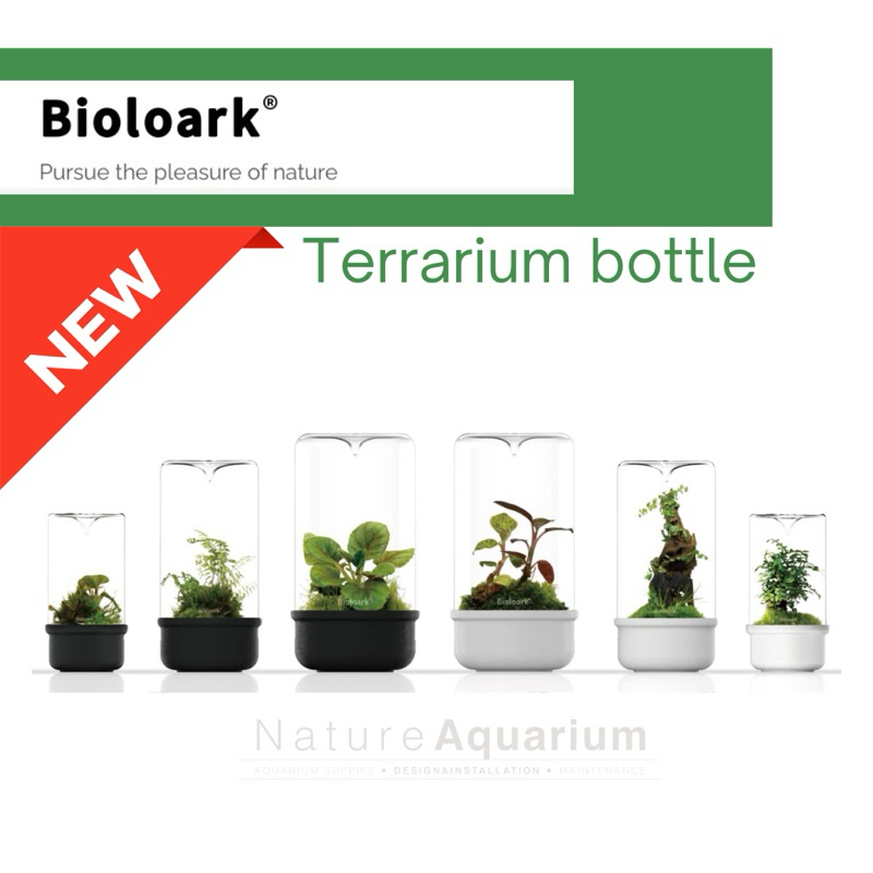 NEW!! Bioloark MH-series โหลแก้วจัดสวนขวด