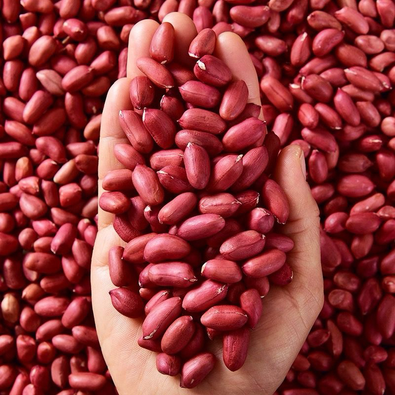 เมล็ดพันธุ์ถั่วลิสง เมล็ดแดง ถั่วลิสง ขนาด1kg สำหรับทาน หรือ ปลูกได้ ขายเป็นกิโล紅花生