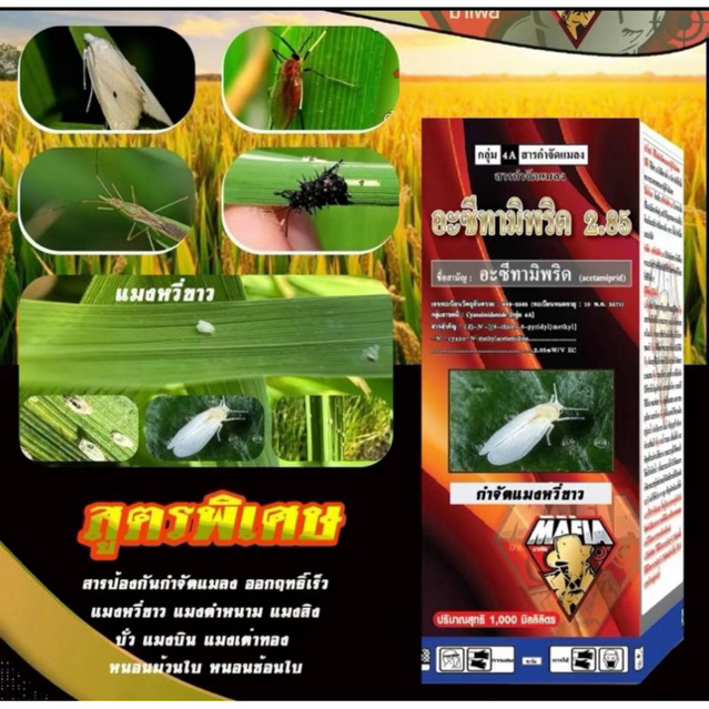 อะซีทามีพริต สูตรพิเศษพรีเมี่ยม