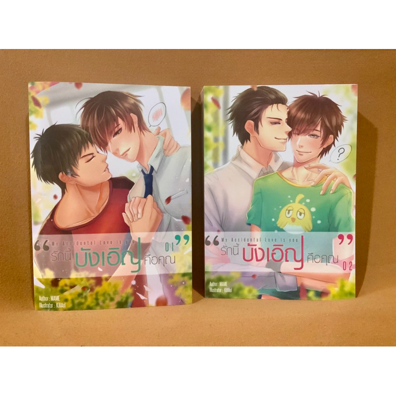 นิยายวาย รักนี้บังเอิญ คือคุณ (2 เล่ม)