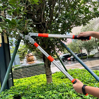 SK5 กรรไกรตัดกิ่งไม้ ยืดหดได้ ด้ามยาว ตัดกิ่งไม้สูง Cutting Branches pruning shears กรรไกรแต่งกิ่ง solo MAYILON กรรไกรตั