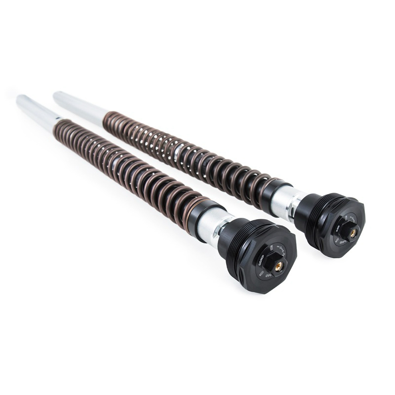 Ohlins Front cartridge kit FKA 118 CRF300L (รวมติดตั้ง)