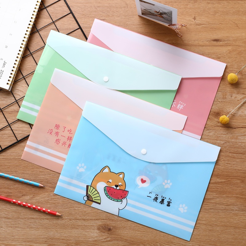 ซองเอกสารใสกระดุม ขนาดA4 ราคา1ชิ้น แบบมีลายและไม่มีลาย อุปกรณ์สำนักงาน เครื่องเขียน อุปกรณ์การเรียน